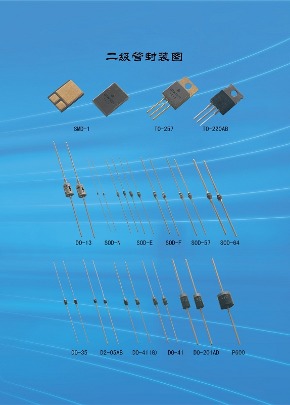 5-6页==.jpg 5-6页==.jpg